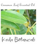 Cinnamon Leaf Pure Essential Oil 10ml